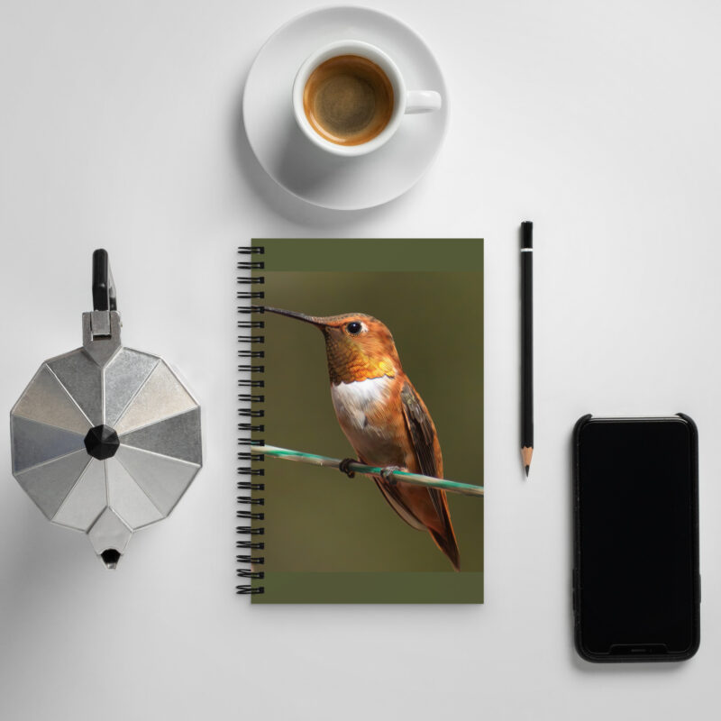 Hummingbird Flight Planner